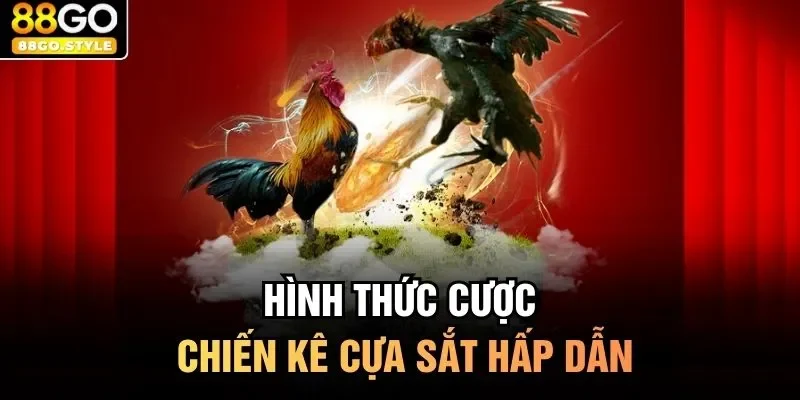 Hình thức cược chiến kê cựa sắt hấp dẫn