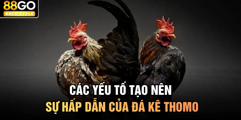 Các yếu tố tạo nên sự hấp dẫn của đá kê thomo