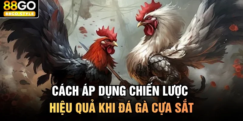 Cách áp dụng chiến lược hiệu quả khi đá gà cựa sắt