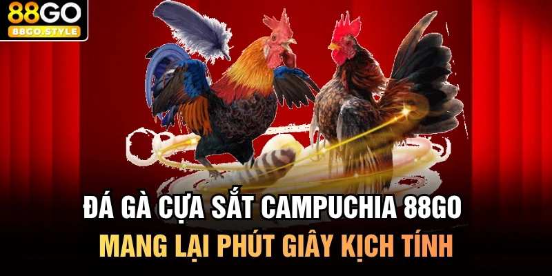 đá gà cựa sắt campuchia