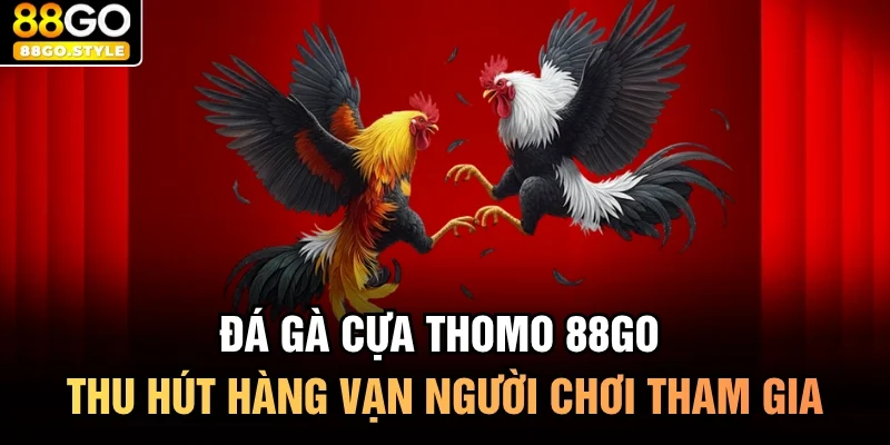 Đá Gà Cựa Thomo 88GO Thu Hút Hàng Vạn Người Chơi Tham Gia