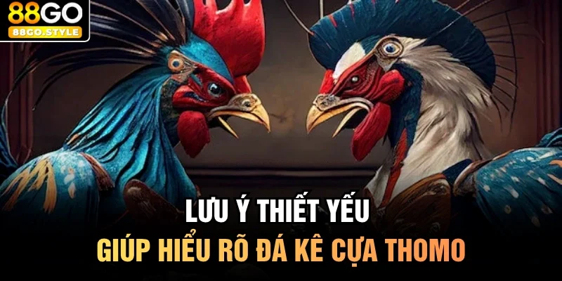 Lưu ý thiết yếu giúp hiểu rõ đá kê cựa thomo