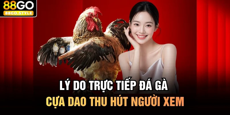 Lý do trực tiếp đá gà cựa dao thu hút người xem