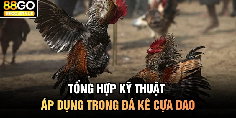Tổng hợp kỹ thuật áp dụng trong đá kê cựa dao
