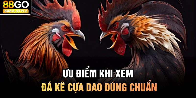 Ưu điểm khi xem đá kê cựa dao đúng chuẩn